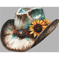 Country music-CM-1194